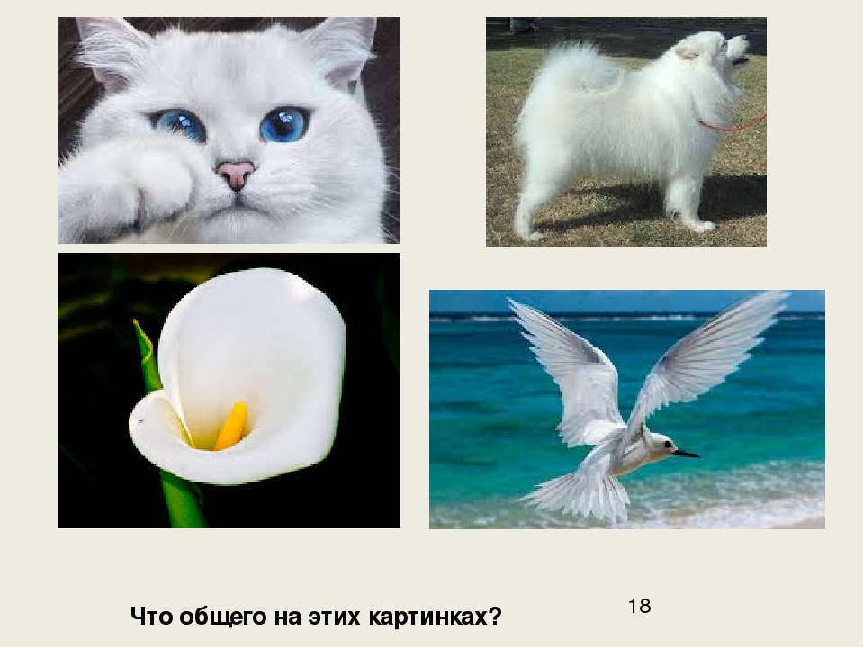Учимся обобщать (скоро в школу)