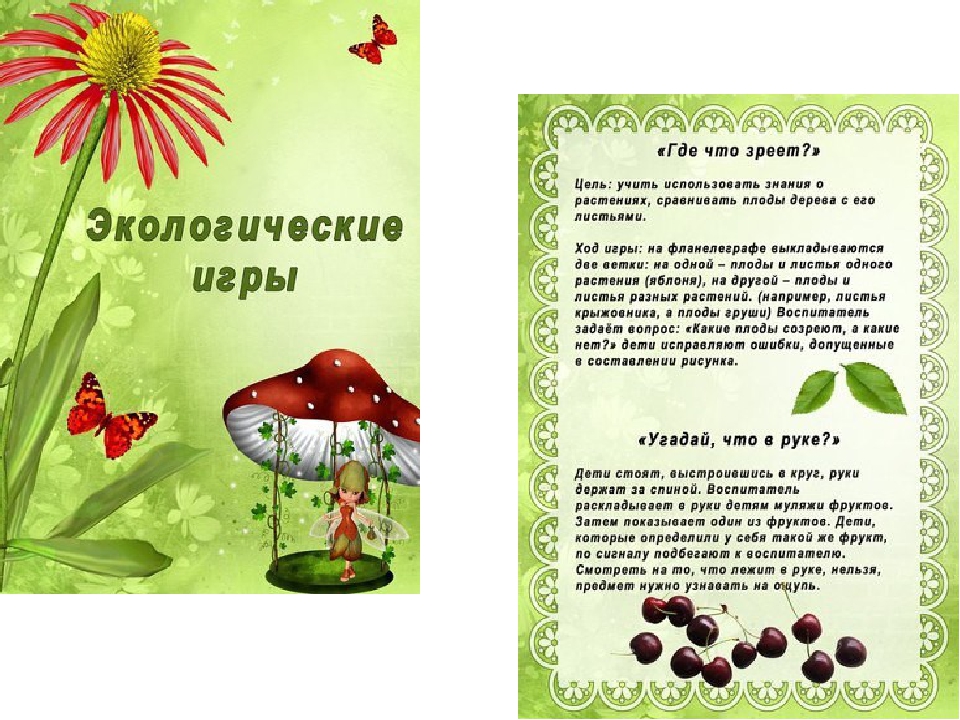 Презентация на тему "Экологические игры "
