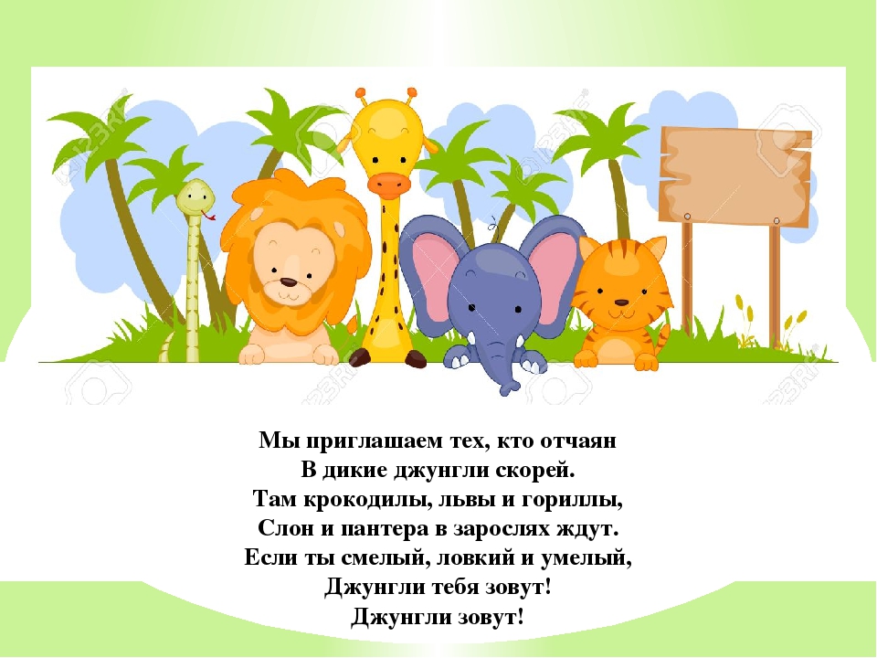 Презентация " Джунгли зовут"