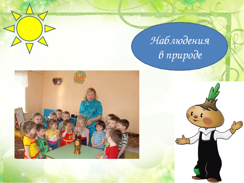 Презентация "Лук от семи недуг"