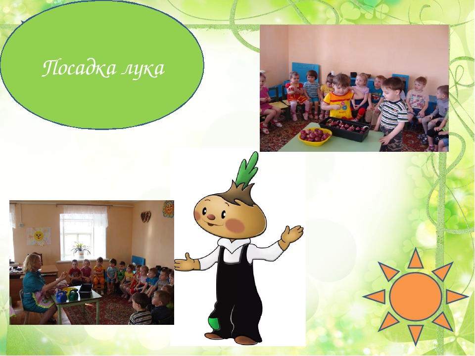 Презентация "Лук от семи недуг"