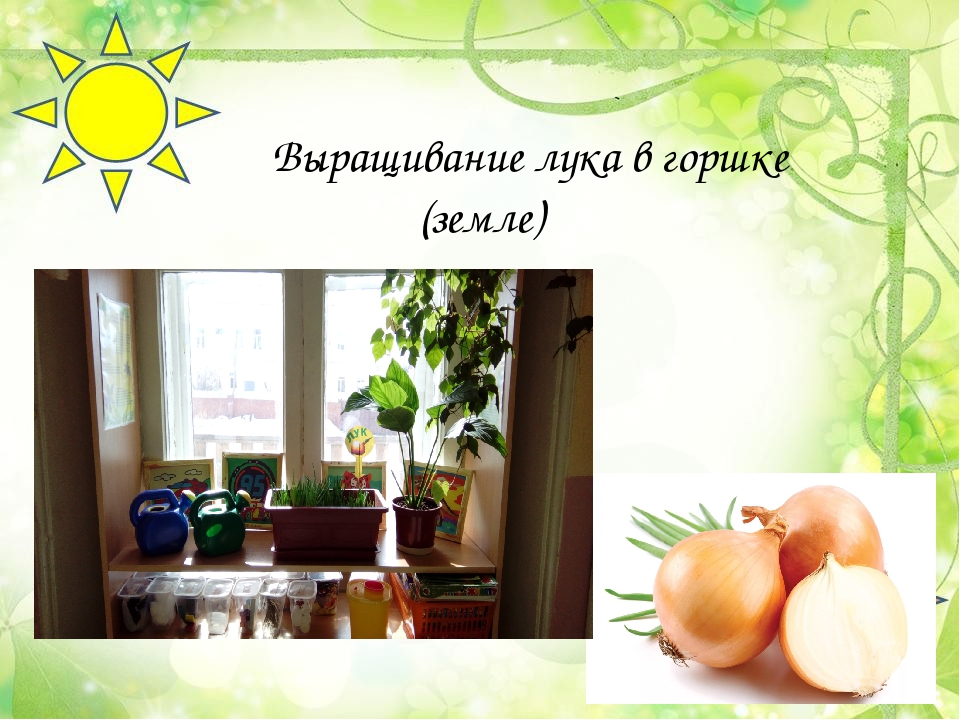 Презентация "Лук от семи недуг"