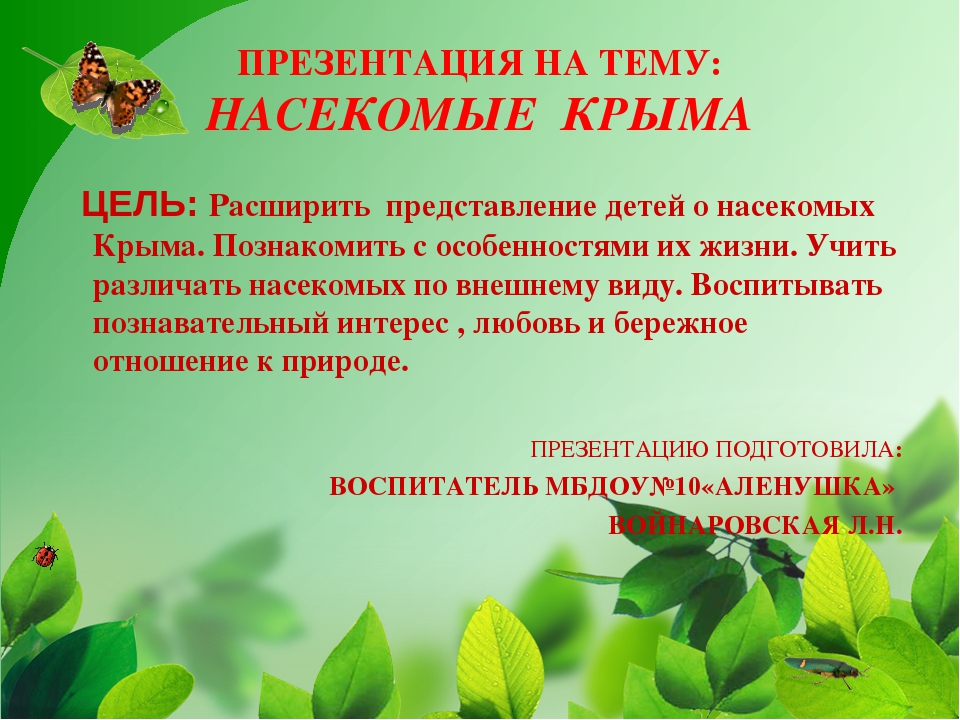 Презентация на тему "Насекомые Крыма" (изучаем родной край)