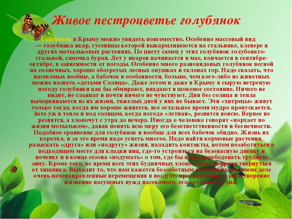Презентация на тему "Насекомые Крыма" (изучаем родной край)