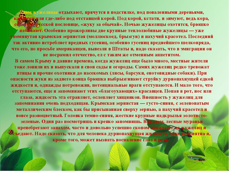 Презентация на тему "Насекомые Крыма" (изучаем родной край)
