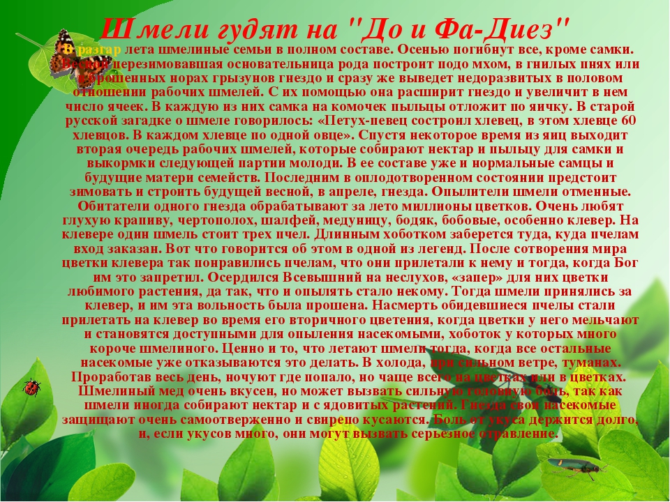 Презентация на тему "Насекомые Крыма" (изучаем родной край)