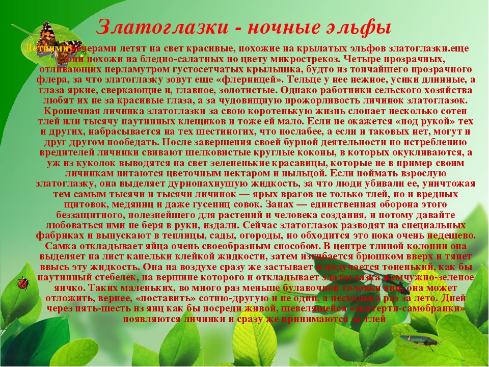 Презентация на тему "Насекомые Крыма" (изучаем родной край)