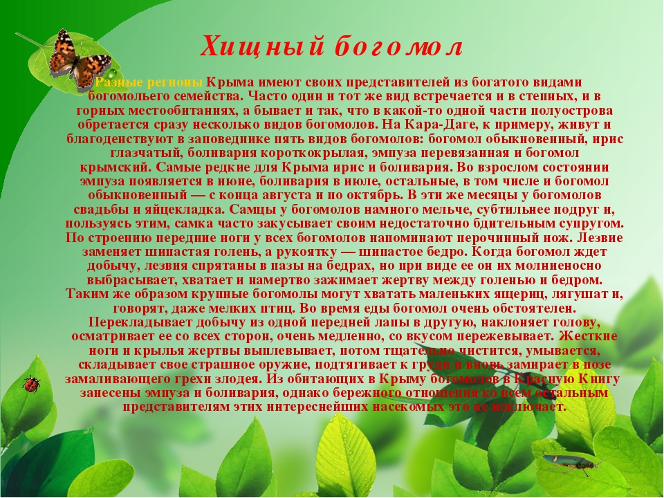 Презентация на тему "Насекомые Крыма" (изучаем родной край)