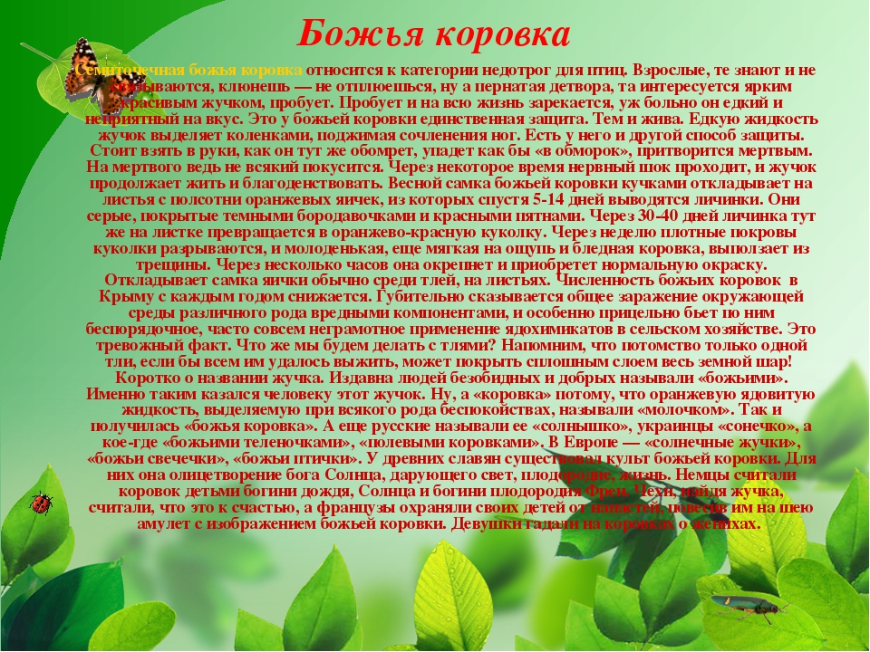 Презентация на тему "Насекомые Крыма" (изучаем родной край)
