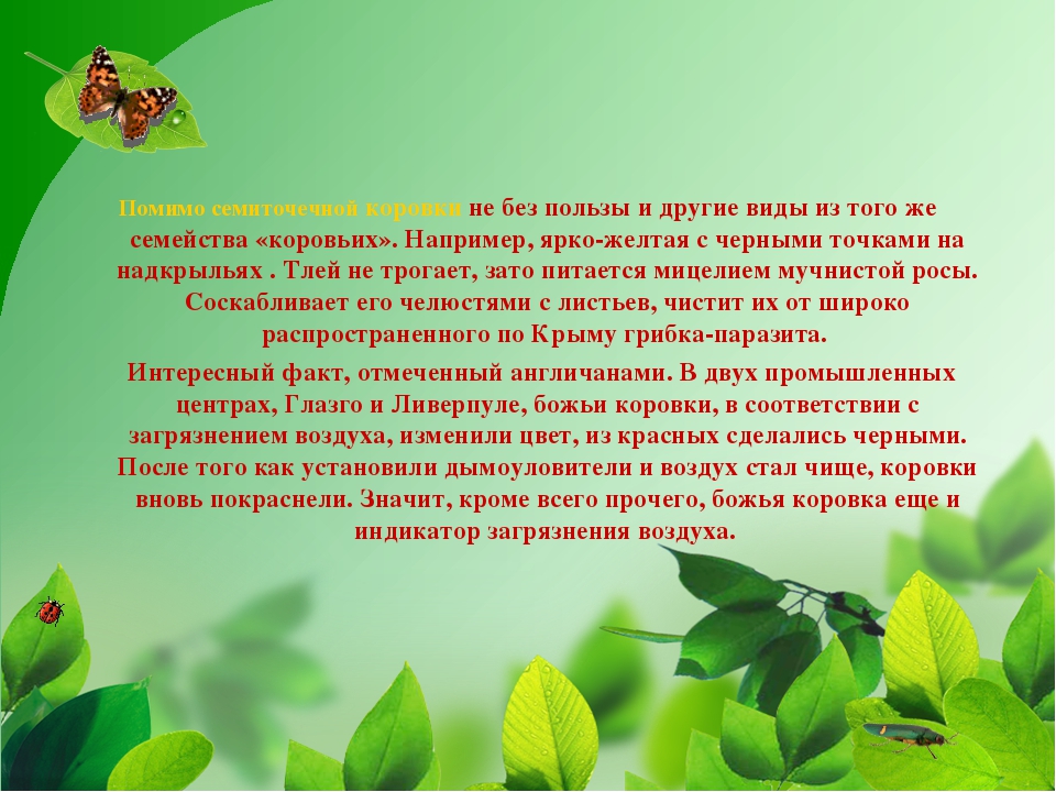 Презентация на тему "Насекомые Крыма" (изучаем родной край)