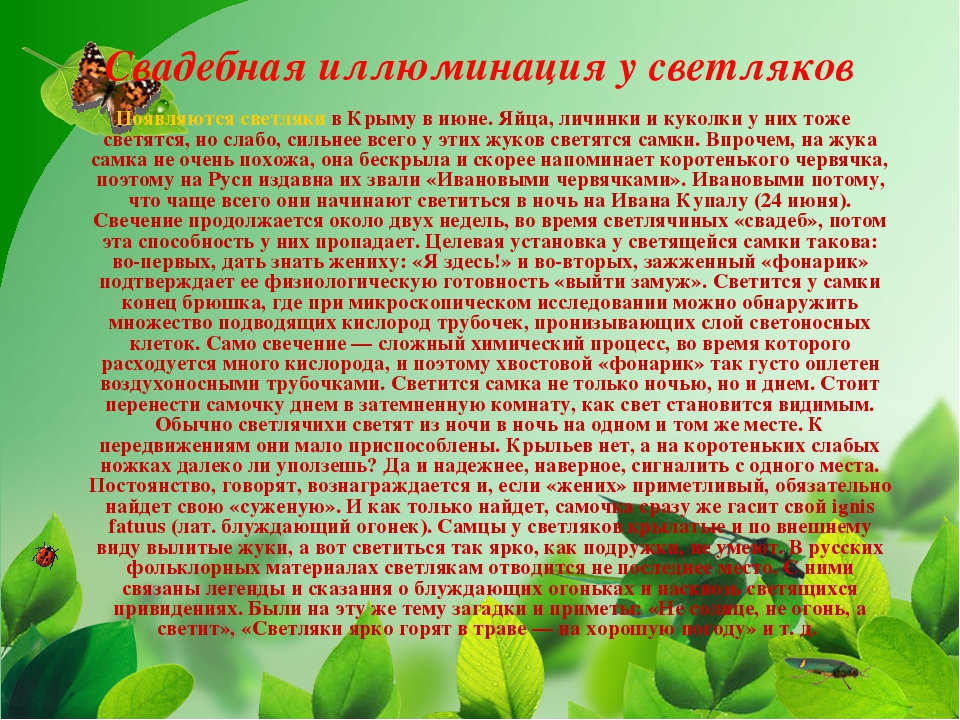 Презентация на тему "Насекомые Крыма" (изучаем родной край)