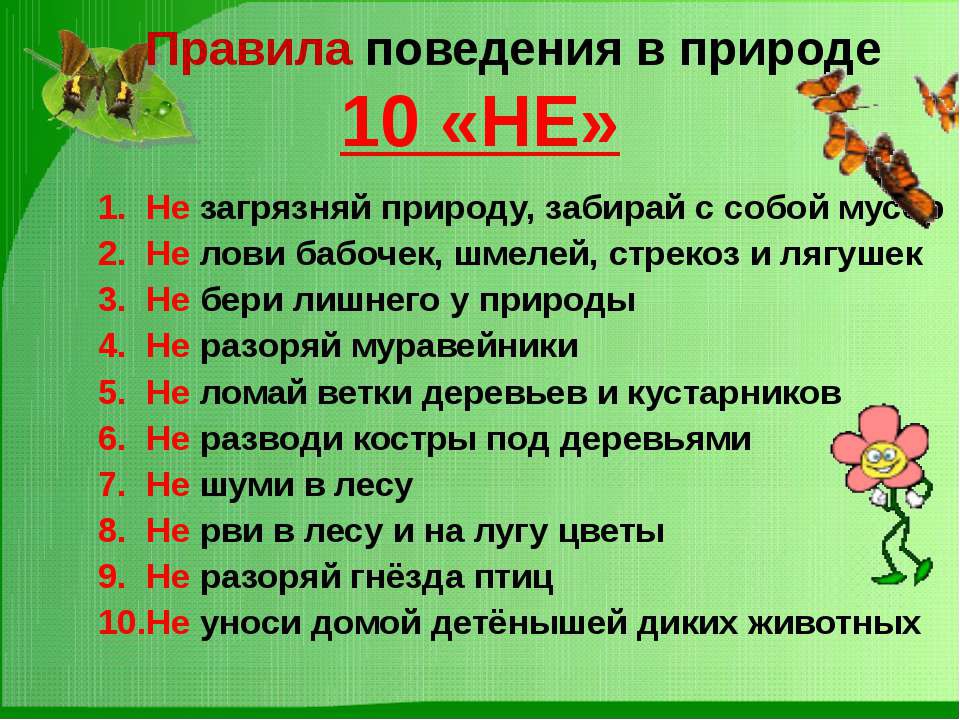Презентация на тему "Насекомые Крыма" (изучаем родной край)