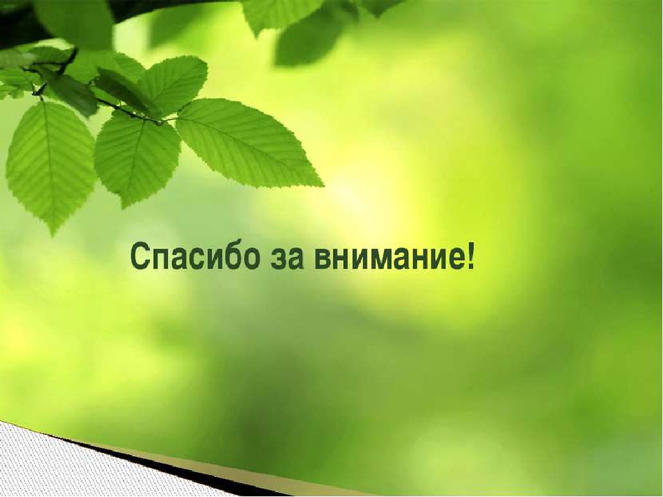 Презентация на тему "Насекомые Крыма" (изучаем родной край)