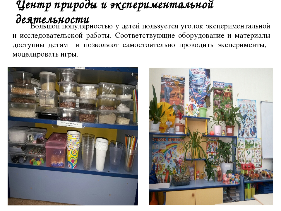 Презентация по теме "Предметно-пространственная развивающая среда в ДОУ "