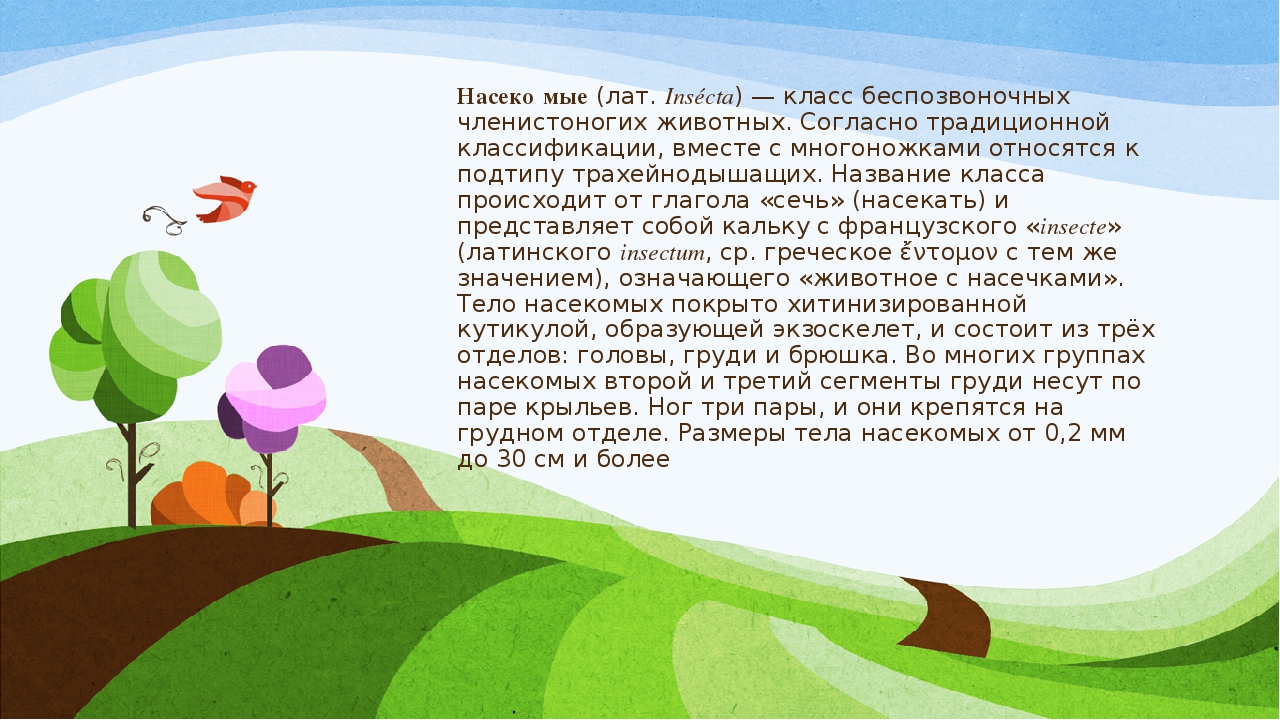 Презентация к материалу: "Удивительный мир насекомых".