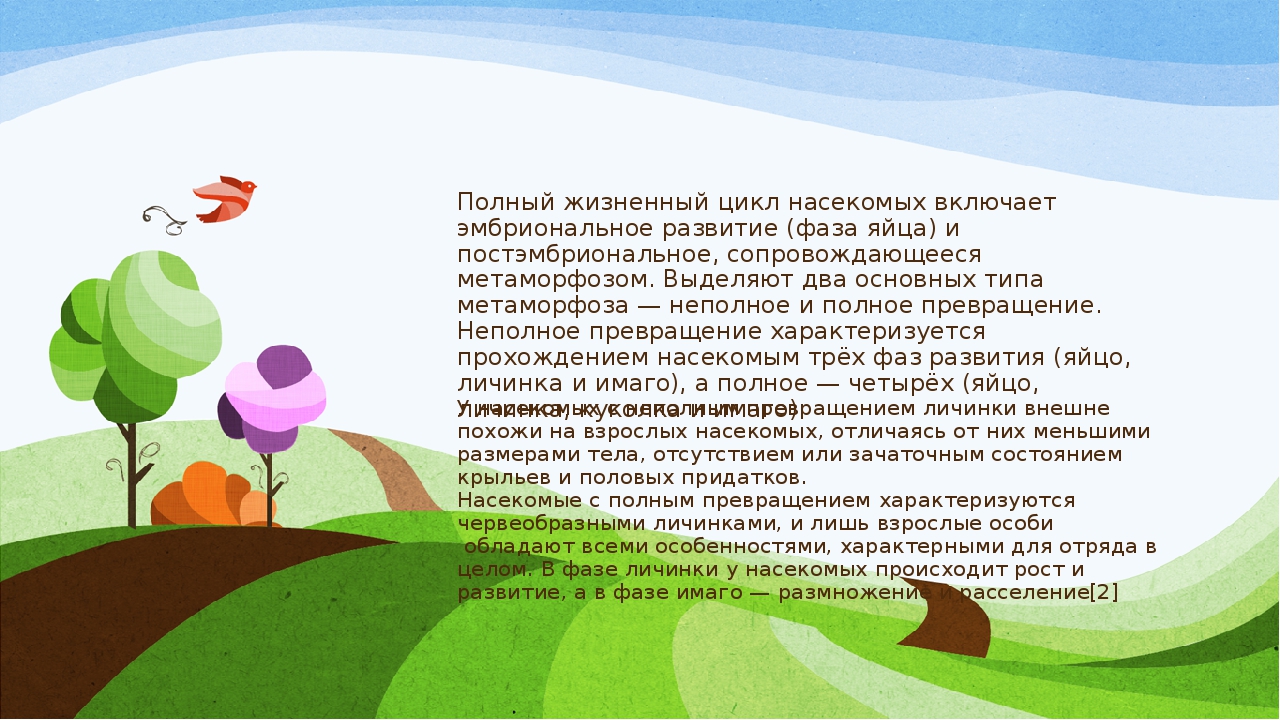 Презентация к материалу: "Удивительный мир насекомых".
