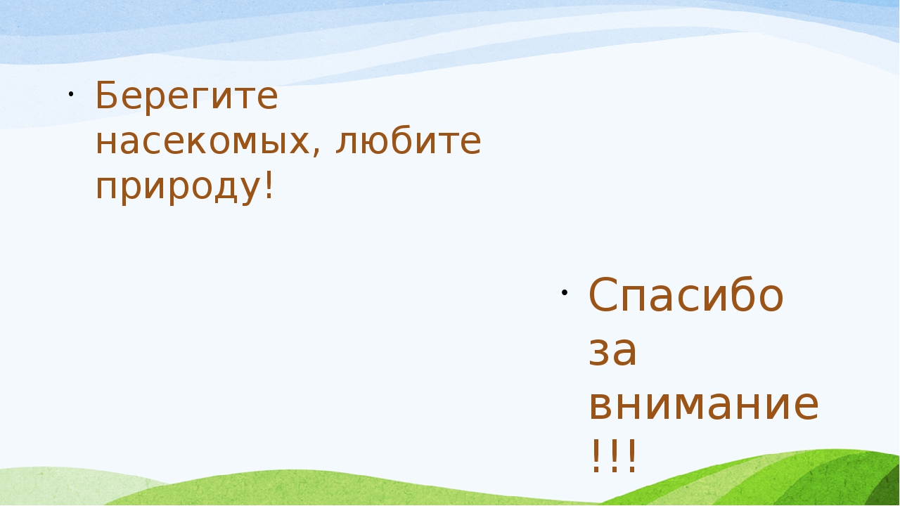 Презентация к материалу: "Удивительный мир насекомых".