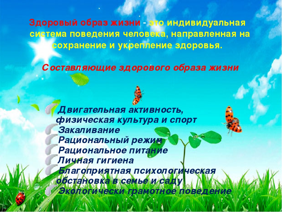 Презентация "В здоровом теле, здоровый дух"