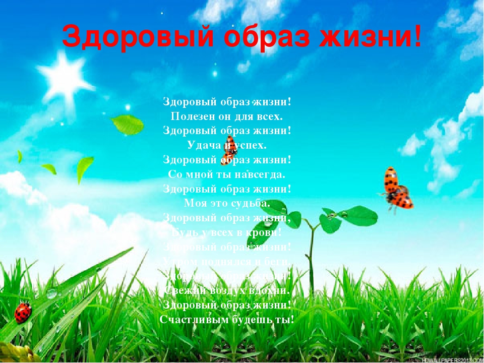 Презентация "В здоровом теле, здоровый дух"