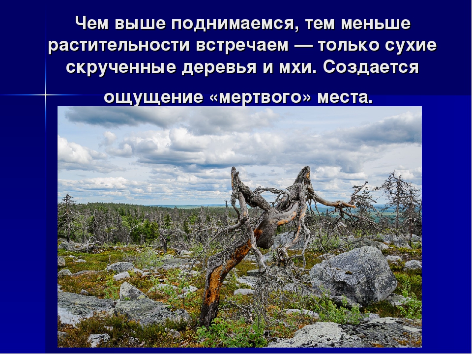 Презентация о Карелии "Гора Вотоваара"