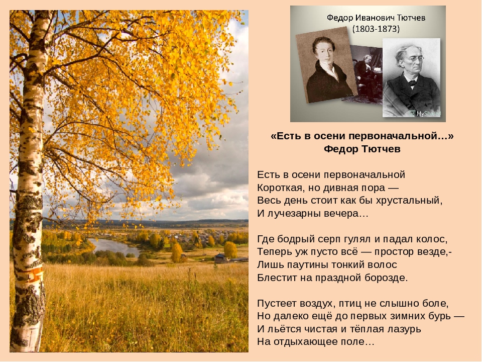 Презентация на тему "Стихотворения о русской природе. Осень.