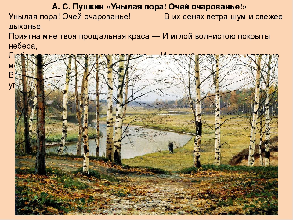 Презентация на тему "Стихотворения о русской природе. Осень.
