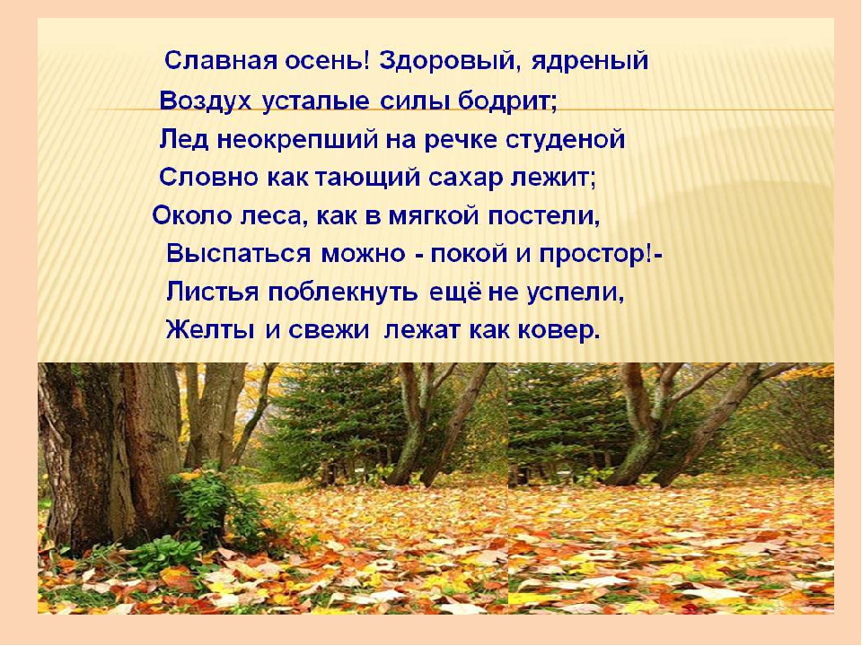 Презентация на тему "Стихотворения о русской природе. Осень.