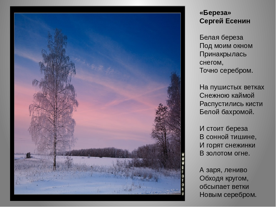 Презентация на тему "Стихотворения о русской природе. Зима.