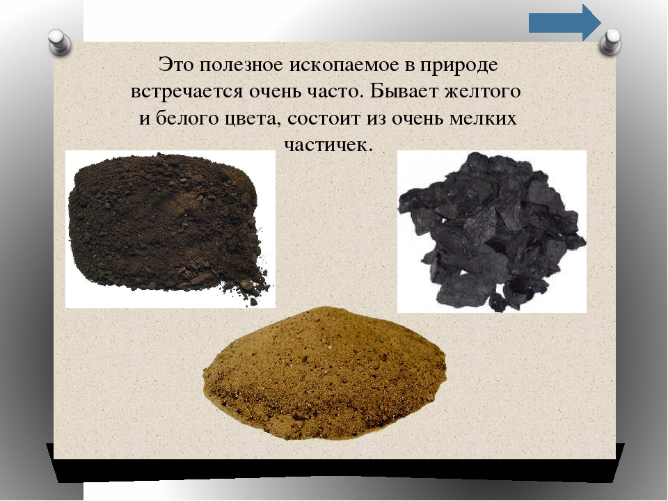 Презентация-викторина для дошкольников по окружающему миру