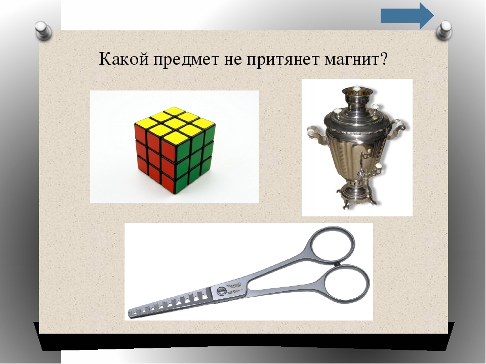 Викторина для дошкольников презентация окружающий мир