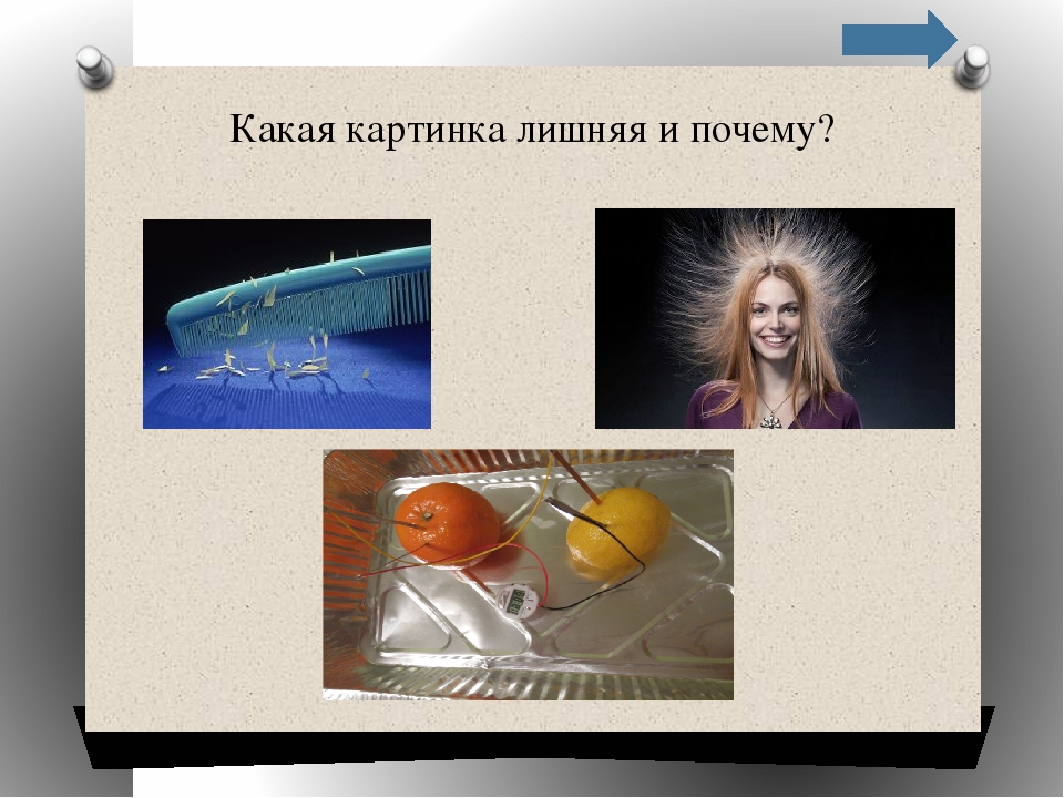 Презентация-викторина для дошкольников по окружающему миру