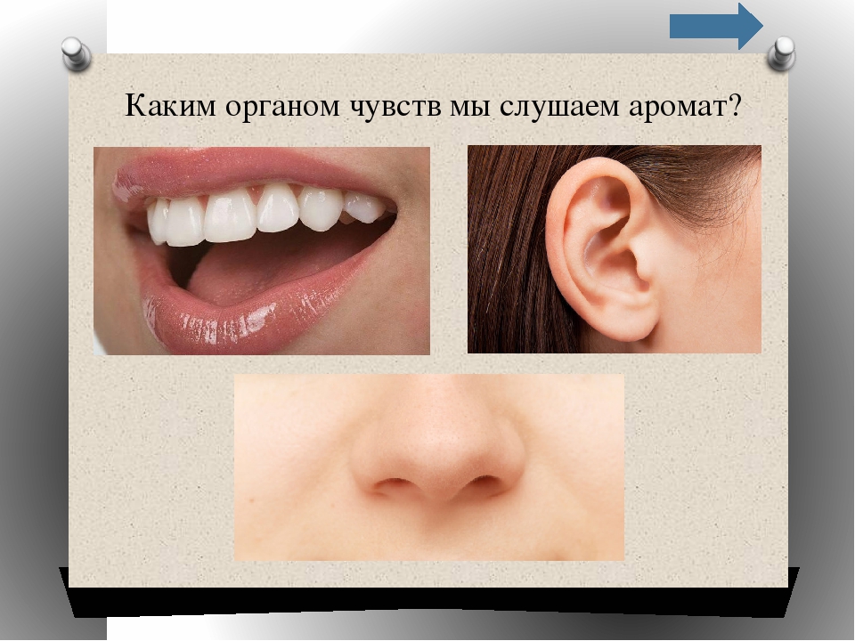 Презентация-викторина для дошкольников по окружающему миру