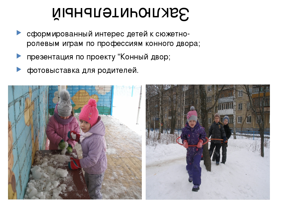 Презентация проекта "Конный двор" (часть 2)