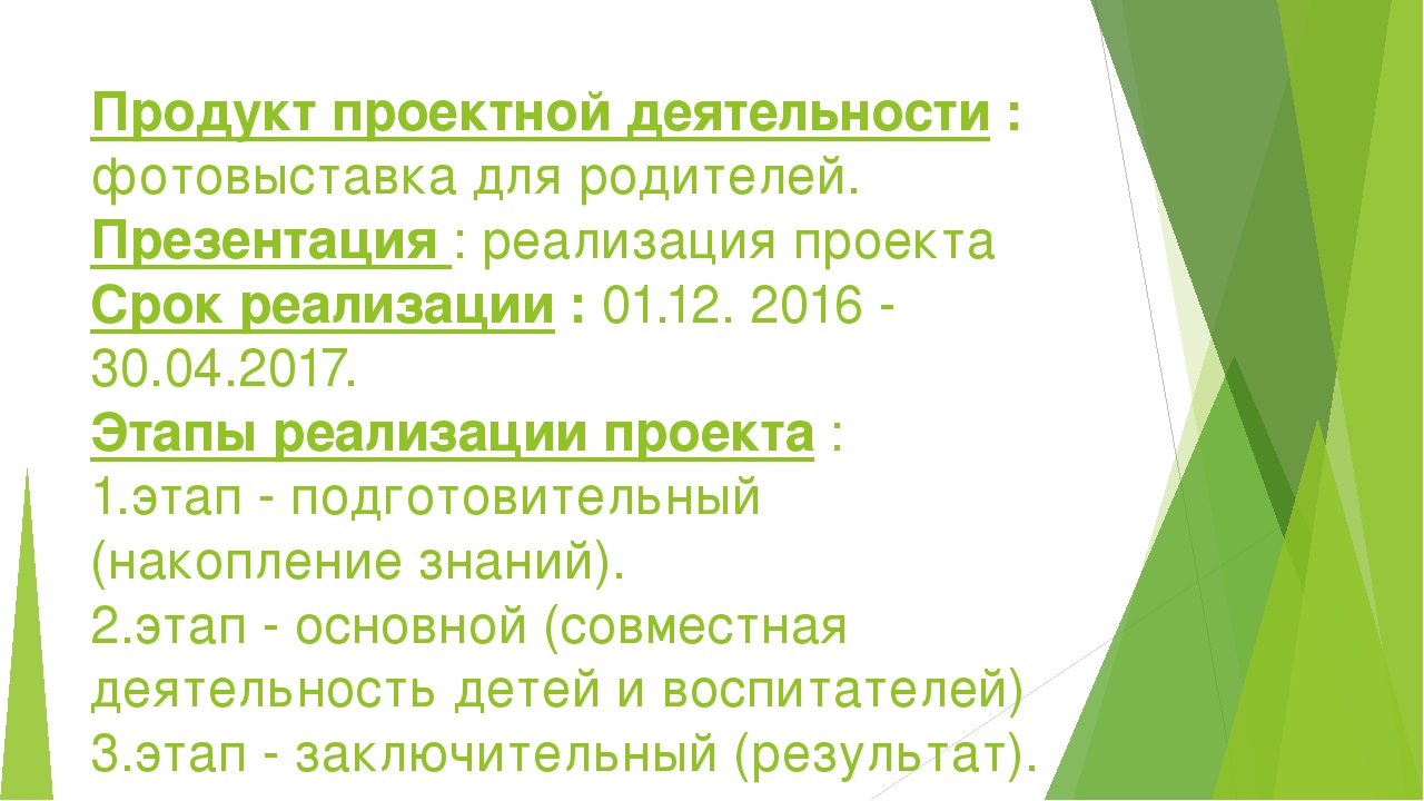 Презентация проекта "Конный двор" (часть 1)
