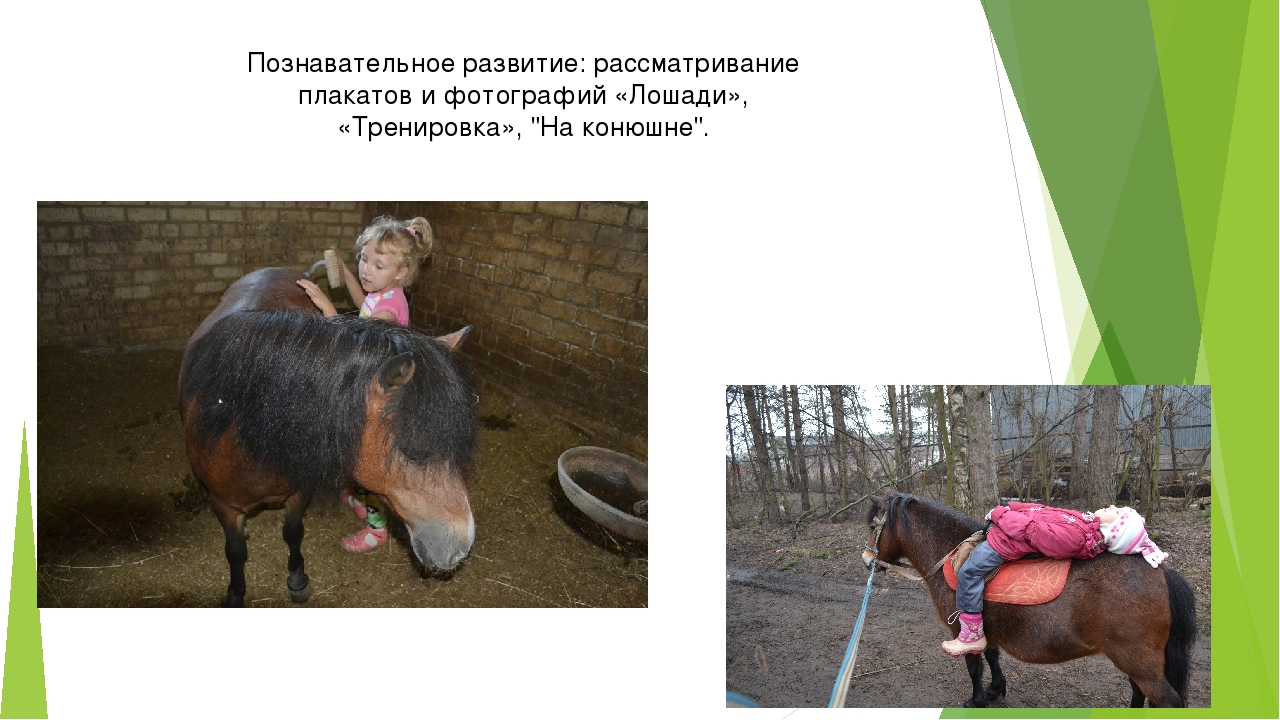 Презентация проекта "Конный двор" (часть 1)