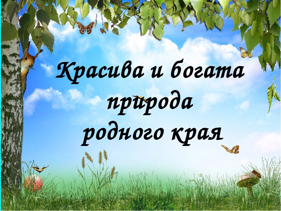 Презентация люби природу. Природе своего родного края. Надпись природа родного края. Проект природа родного края для дошкольников. Природа родного края Заголовок.