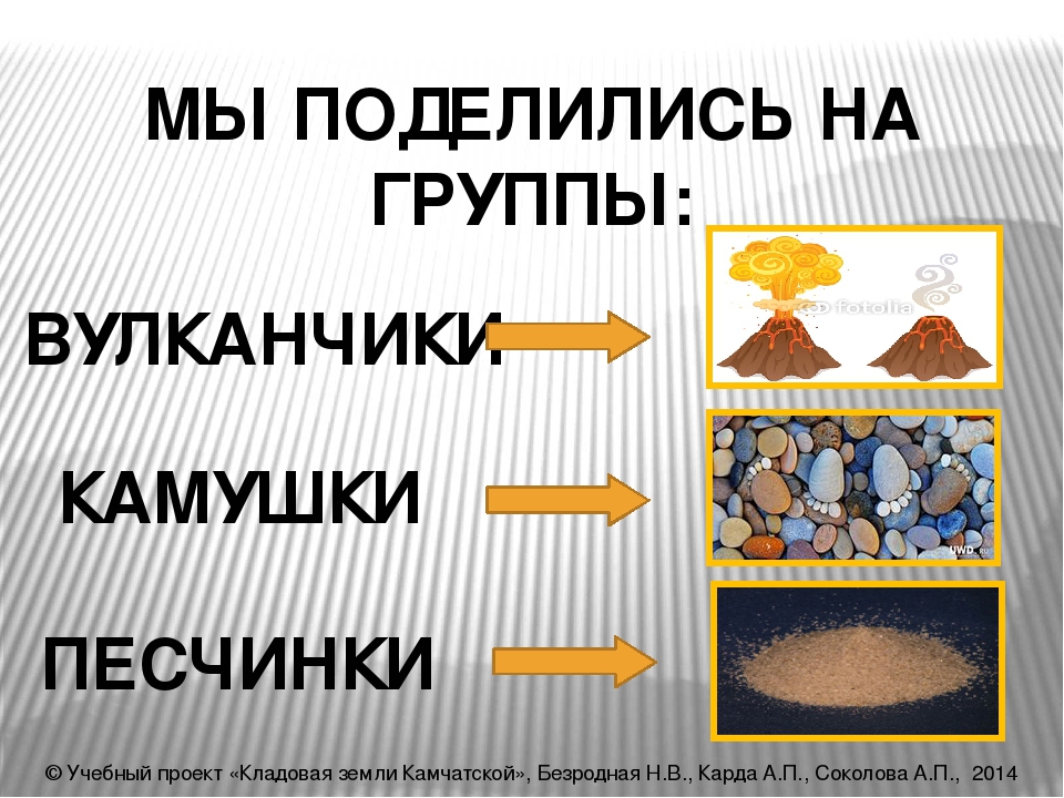 Презентация к проекту "Кладовая земли Камчатской!