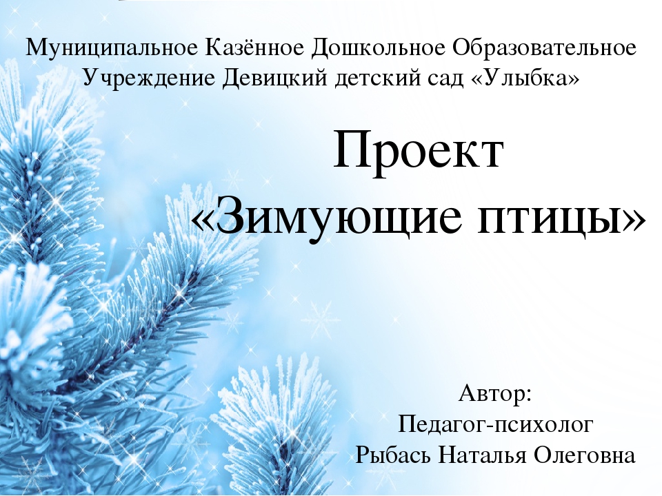 Проект во второй младшей группе по экологическому воспитанию "Зимующие птицы"
