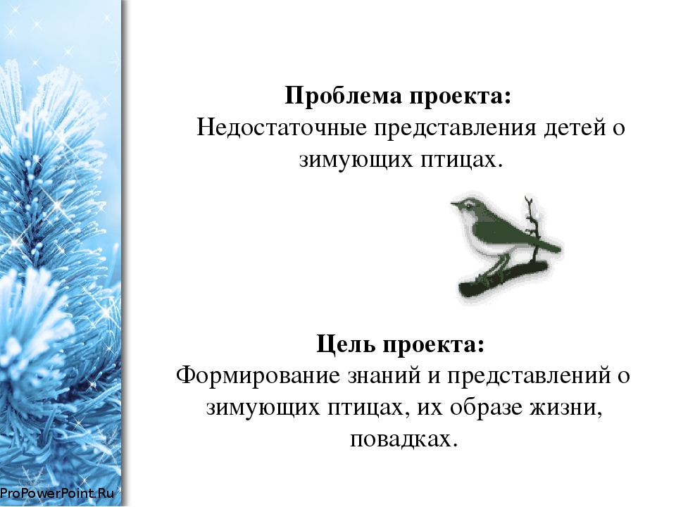 Проект во второй младшей группе по экологическому воспитанию "Зимующие птицы"