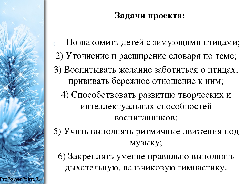 Проект во второй младшей группе по экологическому воспитанию "Зимующие птицы"