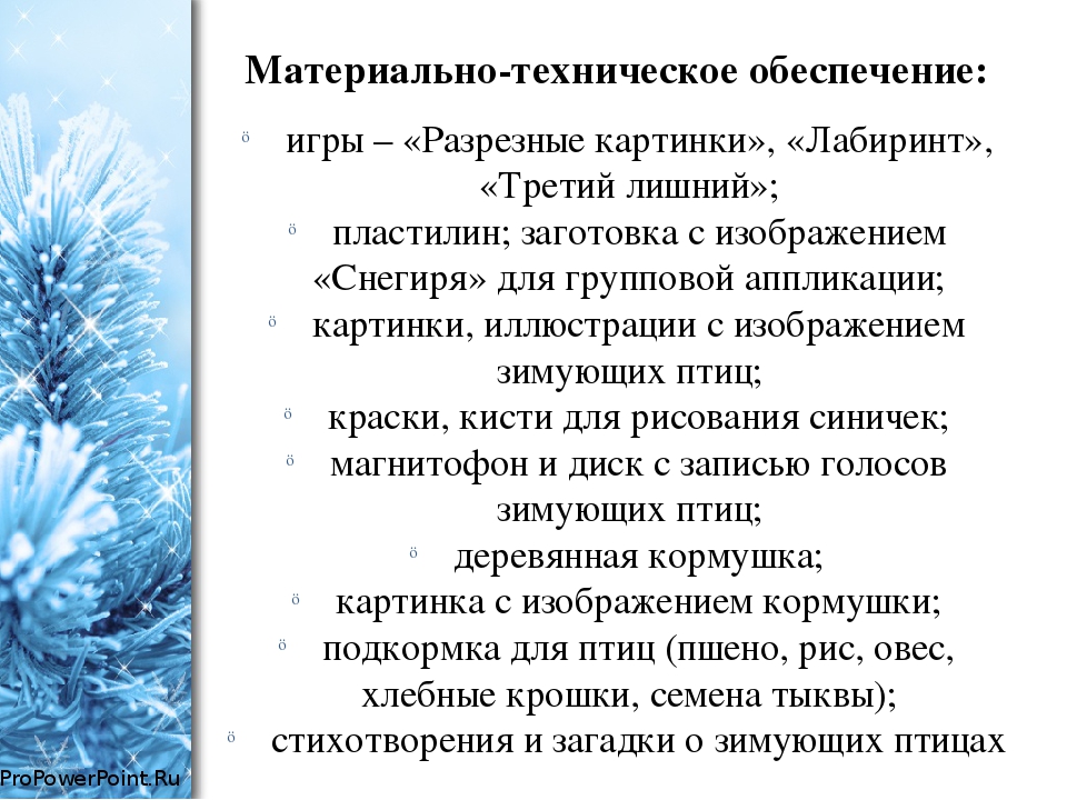 Проект во второй младшей группе по экологическому воспитанию "Зимующие птицы"