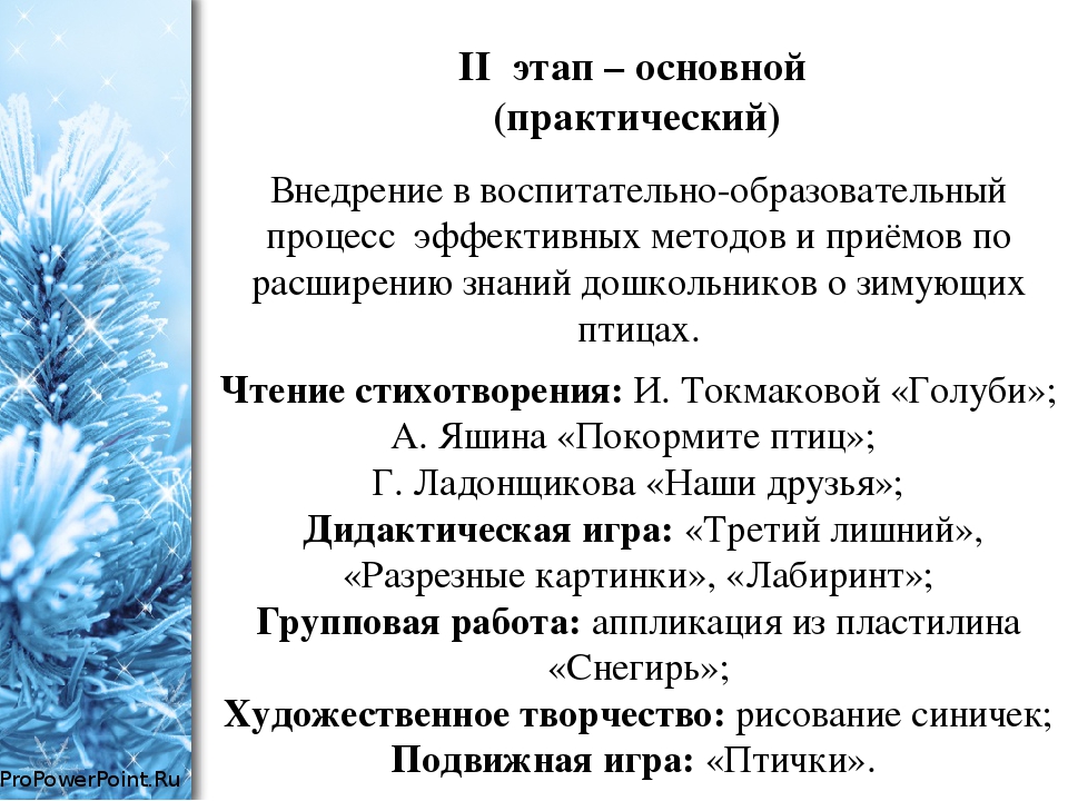 Проект во второй младшей группе по экологическому воспитанию "Зимующие птицы"