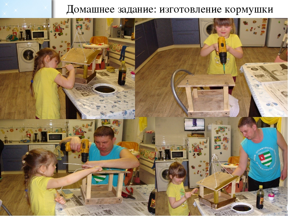 Проект во второй младшей группе по экологическому воспитанию "Зимующие птицы"