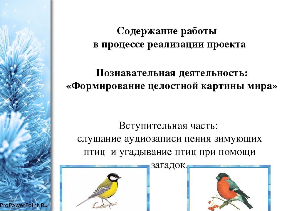 Планирование зимующие птицы. Экологический проект зимующие птицы. Проект зимующие птицы младшая группа. Проект зимующие птицы вторая младшая группа. Проект птицы во второй младшей группе.