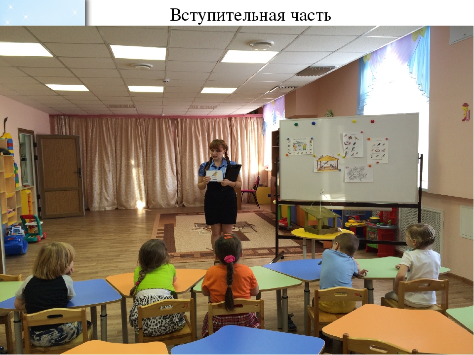 Проект во второй младшей группе по экологическому воспитанию "Зимующие птицы"