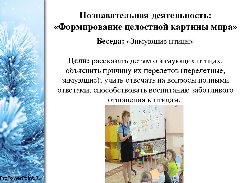 Проект во второй младшей группе по экологическому воспитанию "Зимующие птицы"