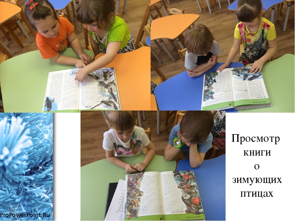 Проект во второй младшей группе по экологическому воспитанию "Зимующие птицы"