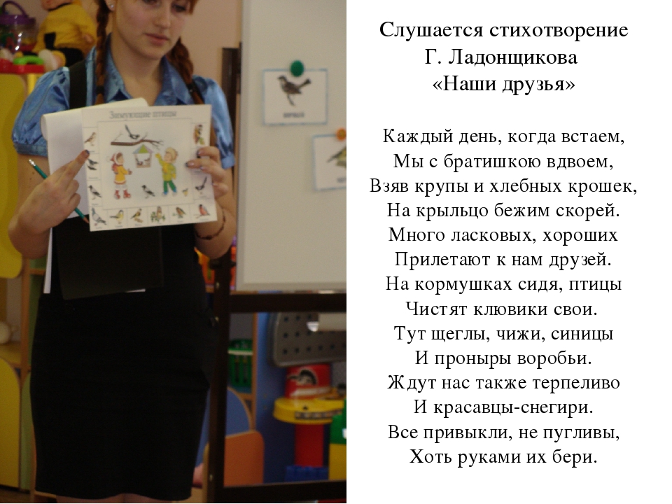 Проект во второй младшей группе по экологическому воспитанию "Зимующие птицы"