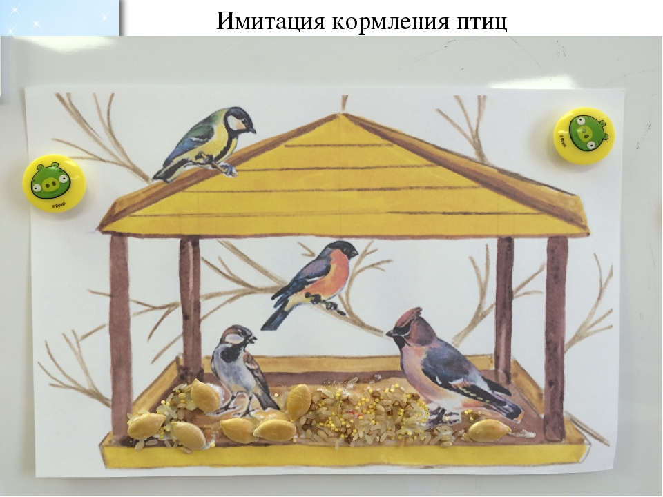 Проект во второй младшей группе по экологическому воспитанию "Зимующие птицы"
