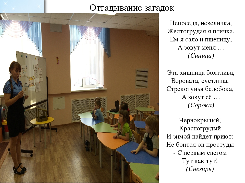 Проект во второй младшей группе по экологическому воспитанию "Зимующие птицы"
